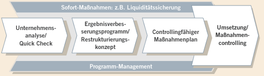 Unternehmensanalyse / Quick Check - Ergebnisverbesserungsprogramm / Restrukturierungskonzept - Controllingfähiger Maßnahmenplan - Umsetzung / Maßnahmencontrolling